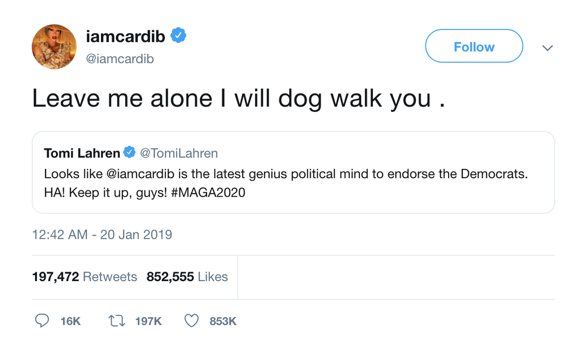 Cardi b best sale dog walk