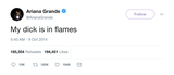 Arian Grande my dick is in flames tweet from Tee Tweets