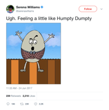 Serene Williams feeling like Humpty Dumpty tweet from Tee Tweets