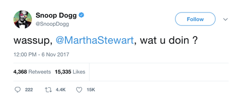 Snoop Dogg wassup Martha Stewart what you doing tweet from Tee Tweets